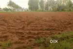 “Large 18,000+ Sq.ft Land for Rent  Suitable for Shed, Godown, or Any
