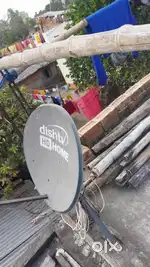 Dish tv ( Hd)