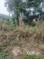 396m2 Plot for Sale in Colva, South Goa