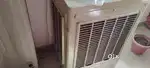 Cooler old