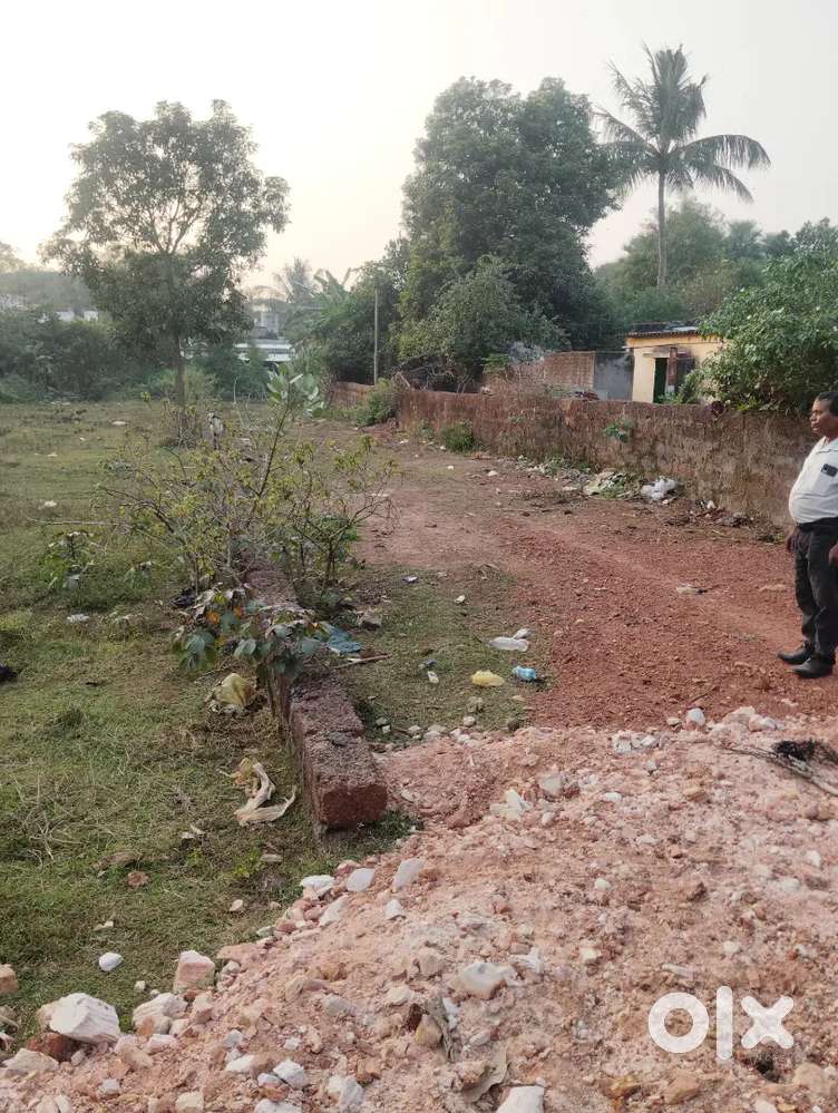 SUNADARPADA JAMUKOLI