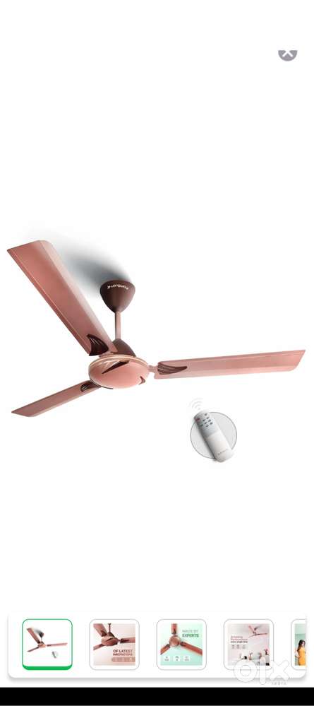 Ceiling fans