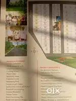 Aesthetic Plot for sale