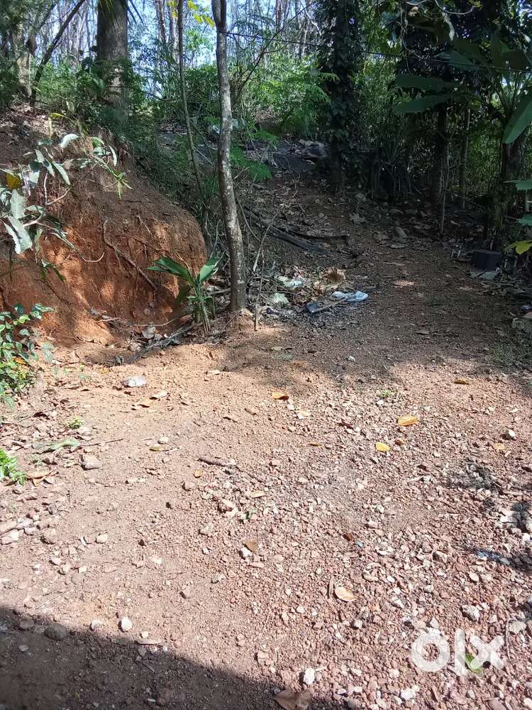 ചടയമംഗലം ടൗണിൽ നിന്ന് രണ്ട് കിലോമീറ്റർ മാറി വീടുവയ്ക്കാ വസ്തു