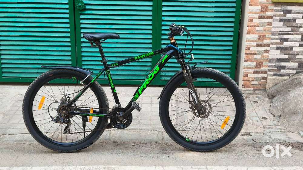 Ninety One Frog Panther Cycle For Sale