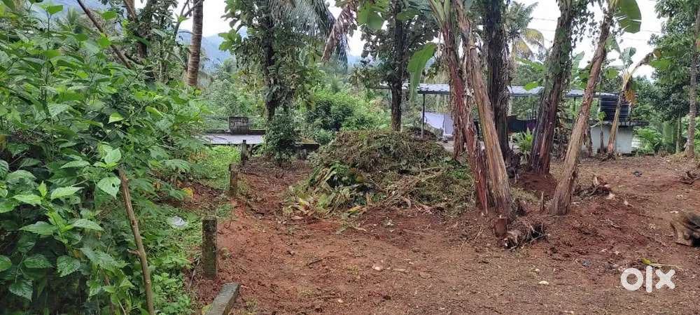 6.7 cent.square house plot,water, electricity,10feet road frontage