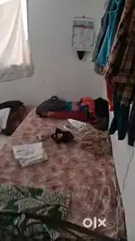 Need 1 roommate ( male/female )