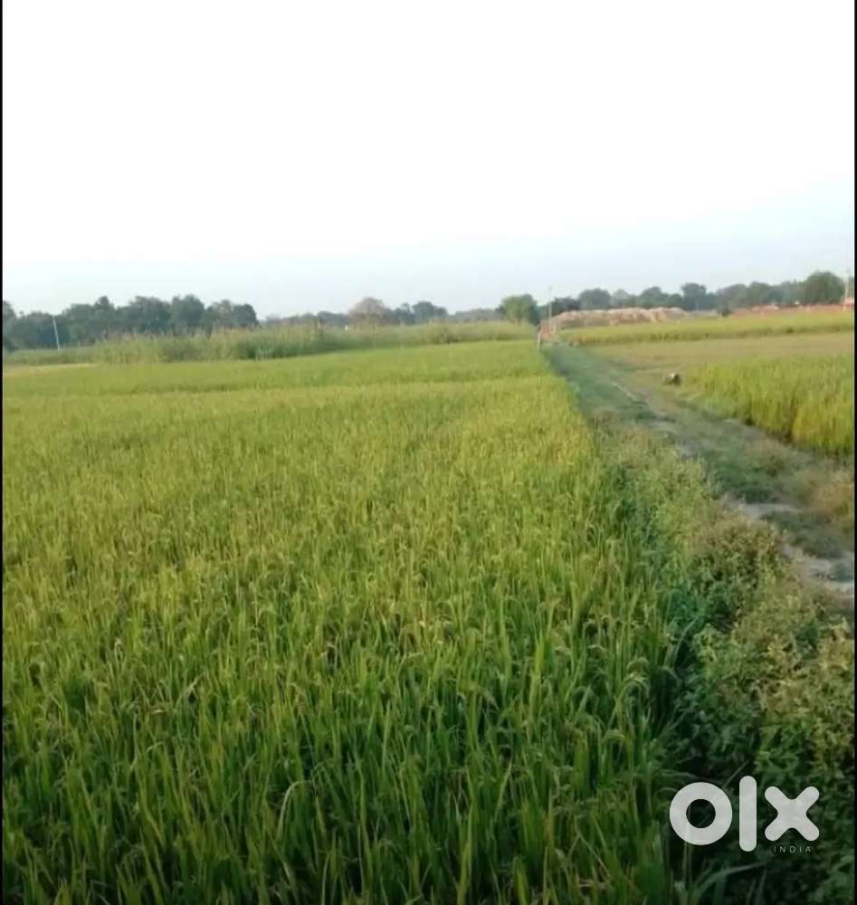 Meja khas meja allahabad