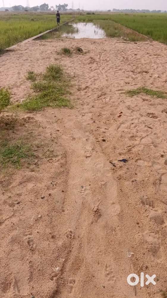 Plot for sale at phulnakhara