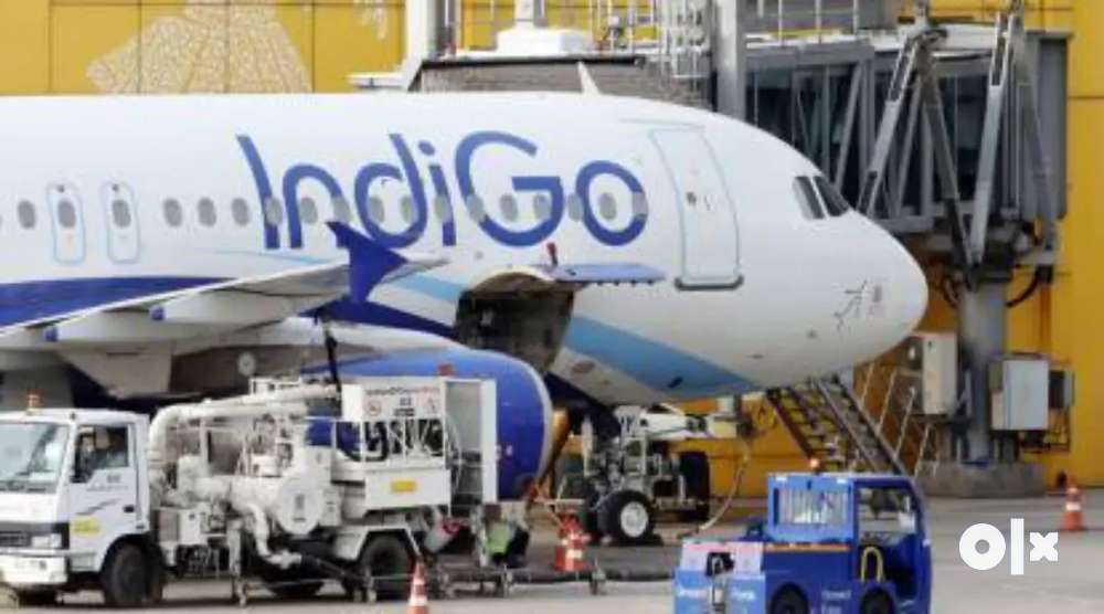 OPENING HIRING ALL OVER INDIA AIRPORTS INDIGO AIRLINES NEED GROUND STA