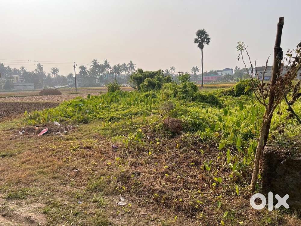 Barajaguli haringhata plot sell land sell