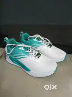Campus Sports Shoes