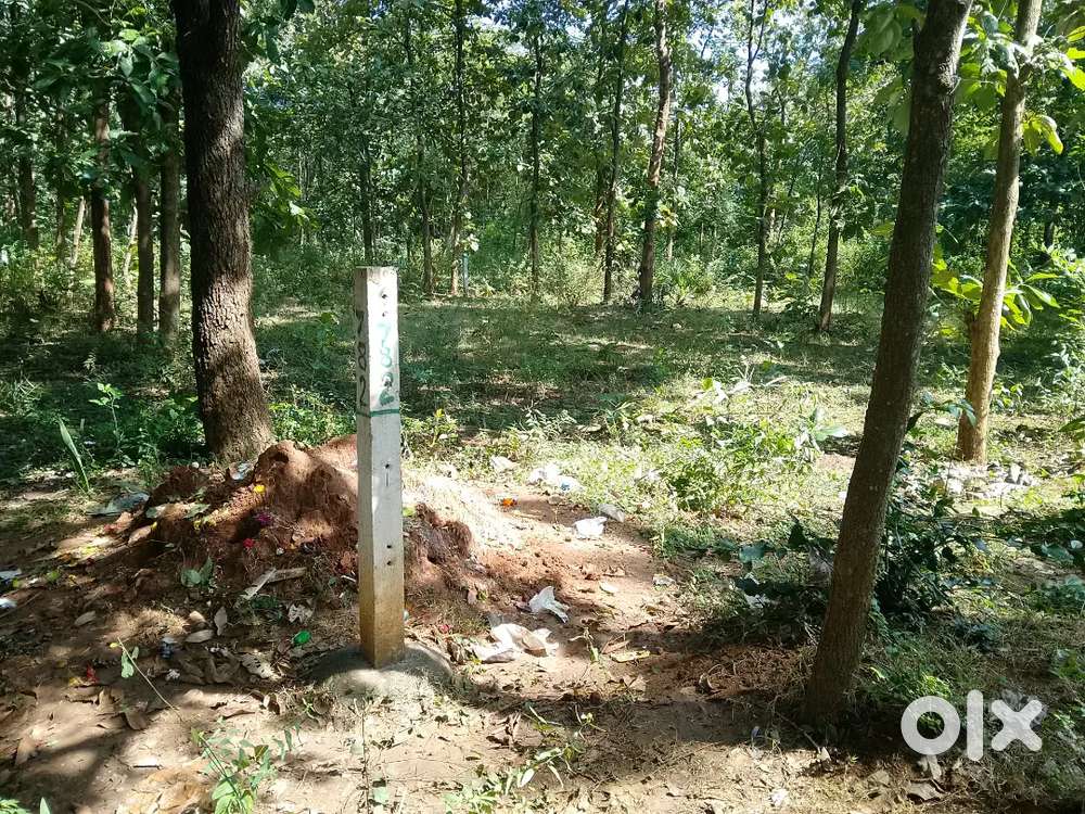 శ్రీరాజరాజేశ్వరి గార్డెన్స్