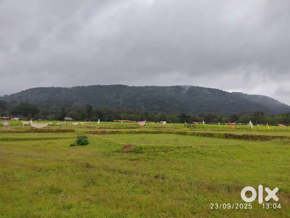 16 acre land for sale