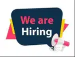 Wanted Helpers For ice cream company
