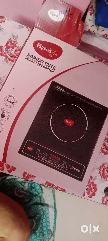 Induction stove & dosa dawa