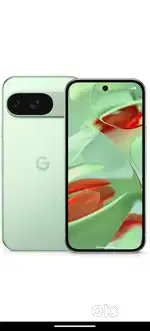 Google Pixel 9 (256GB) Just Open pc