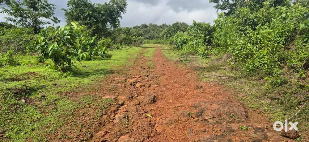 Farmhouse plots for sale in Cudcem Valpoi Sattari North Goa