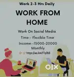 Online work form home