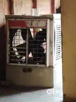 ᴄᴜʟᴇʀ  ɢᴏᴏᴅ ᴄᴏɴᴅsᴇɴ