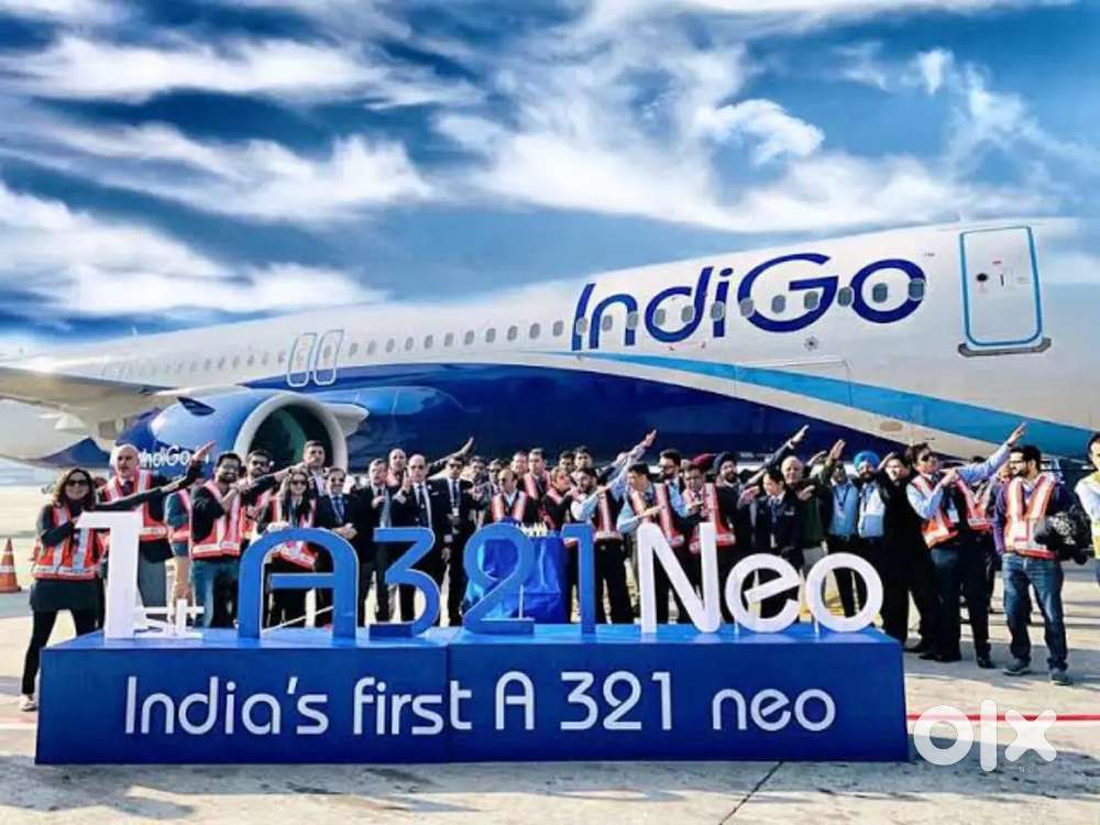 Domestic/International Airport Ground Staff Jobs in Indigo Airlines