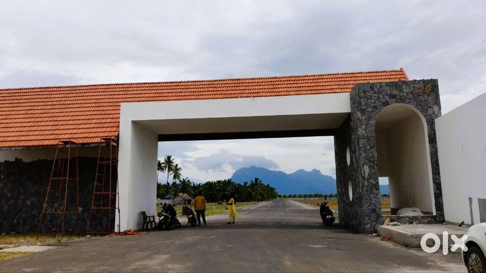 Low Budget Farmland in Saravanampatti