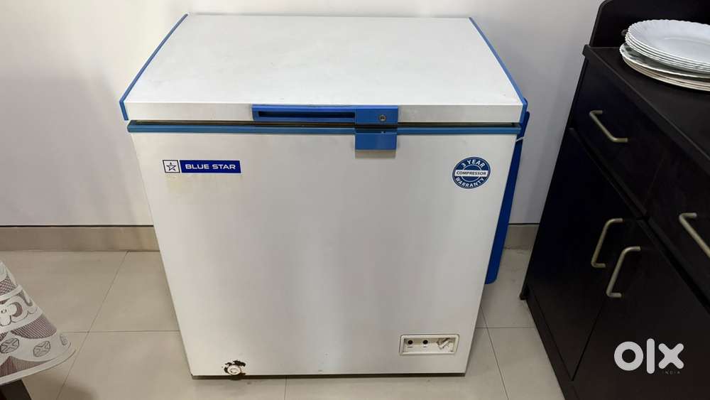 Blue Star CHEST FREEZER