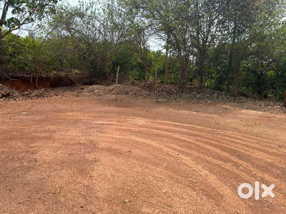 16 cent house plot in Pushpagiri,Taliparamba,kannur
