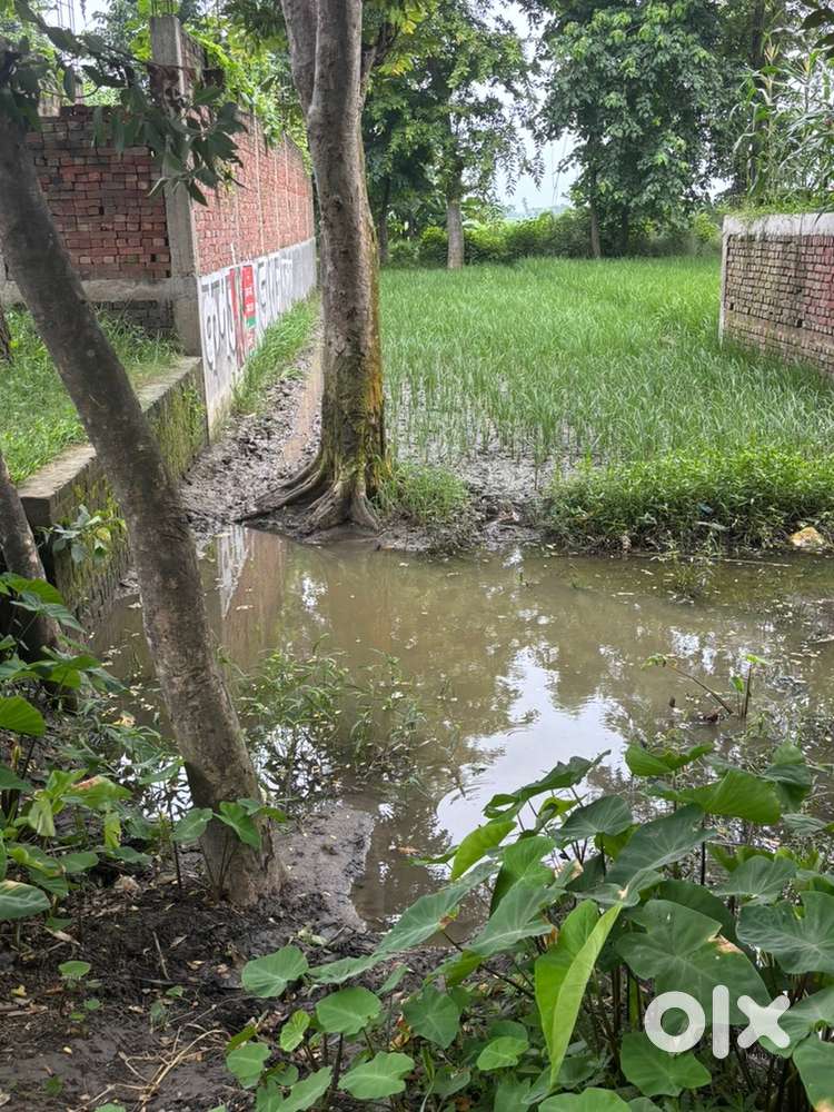 Commercial Plot For Sale - Prime Location Pipraich - Partwal Road