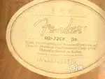FENDER ELECTRO ACCOUSTIC BOUGHT FROM VIENNA
