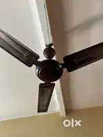Bajaj tezz fan for sale