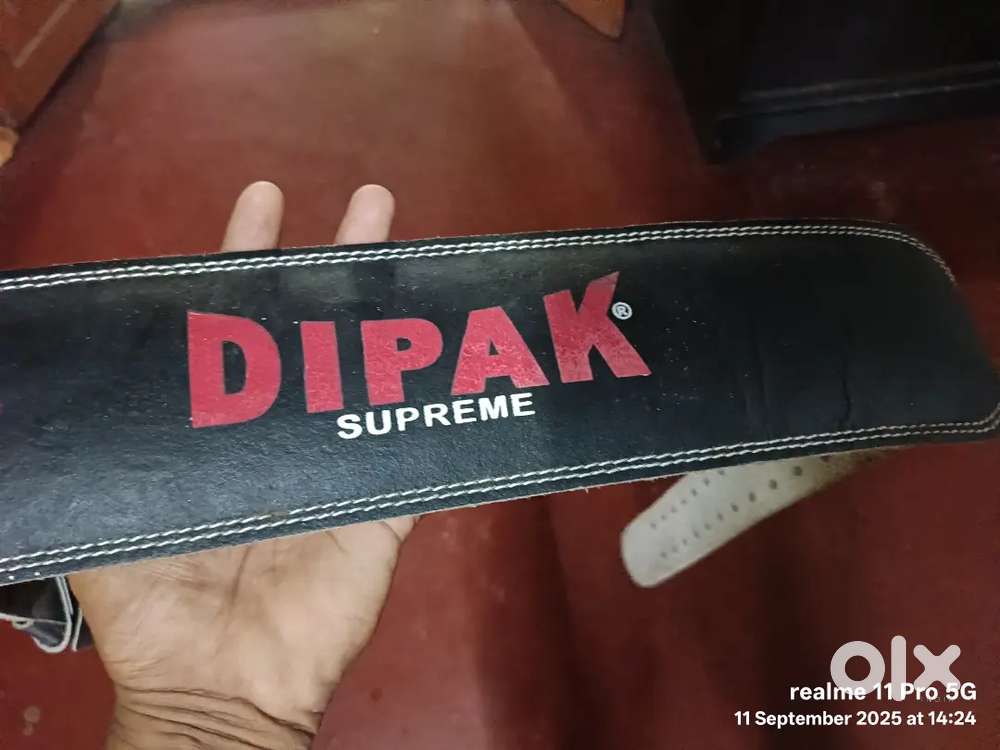 Gym belt for mens