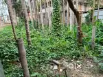 Approx. 3 Ganda Land for Sale