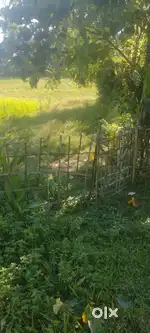Land sell urgently