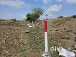 READY TO MOVE PLOTS