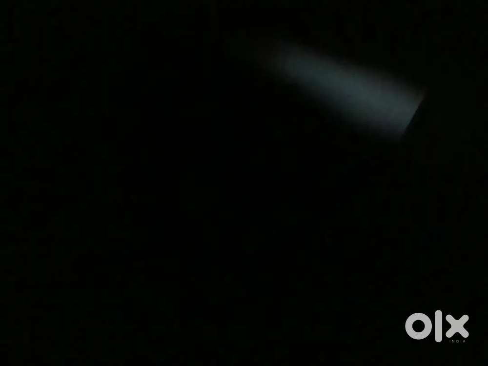 Need a lady to cook for home