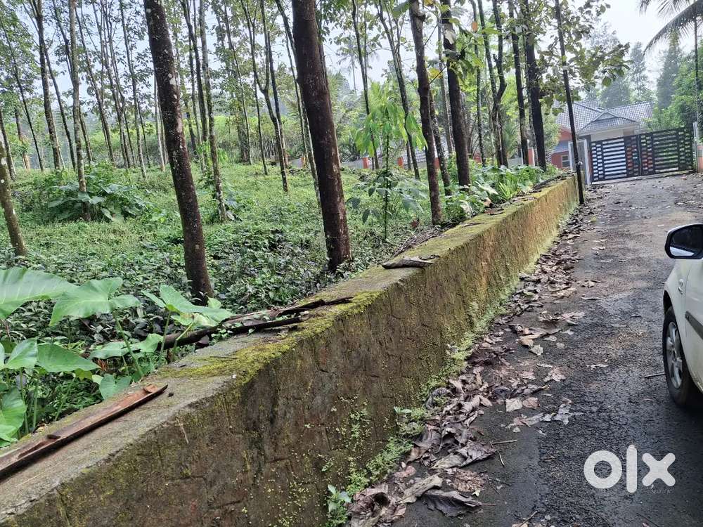 Highway അടുത്ത് house plots...
