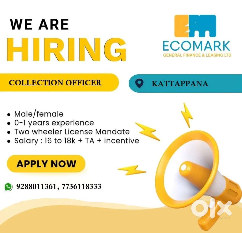 Collection Officer