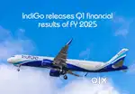 New vacancy open in indigo Airlines urgent hiring