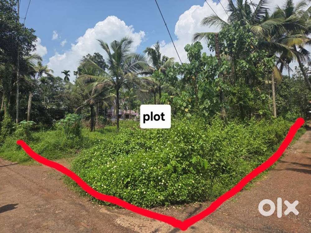 Suitable for farmhouse or Villa projects