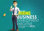 Business Development Executive