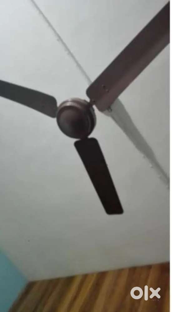 Ceeling fan available