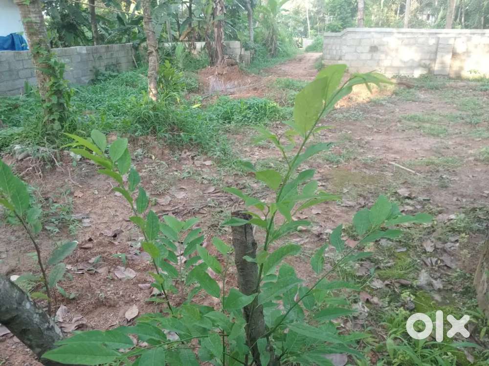 7 cent for sale pallichal