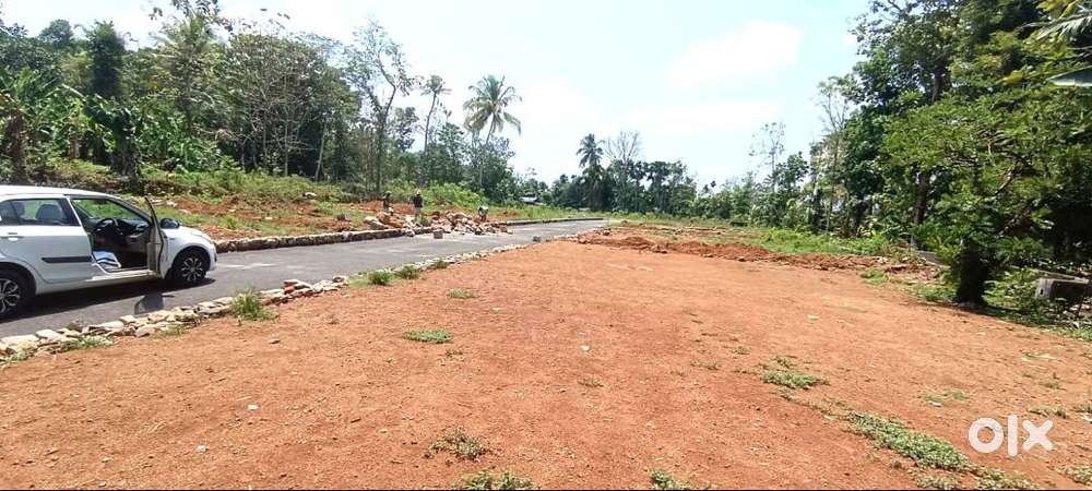 ANGAMALY NEAR APPOLLO HOSPITAL AFFORDABLE PLOTS 4,5,6,8,10