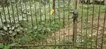 17 Acre rubber thotam near kanjirappally asking only 25 lak per acre
