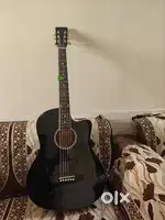 Acoustic Guitar