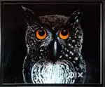 Hand made Owl panting 3×2.5 feet