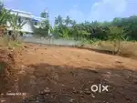 8 cent House plot for sale at Athani, Near Nedumbassery Airport