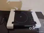 New Induction only 1 day old