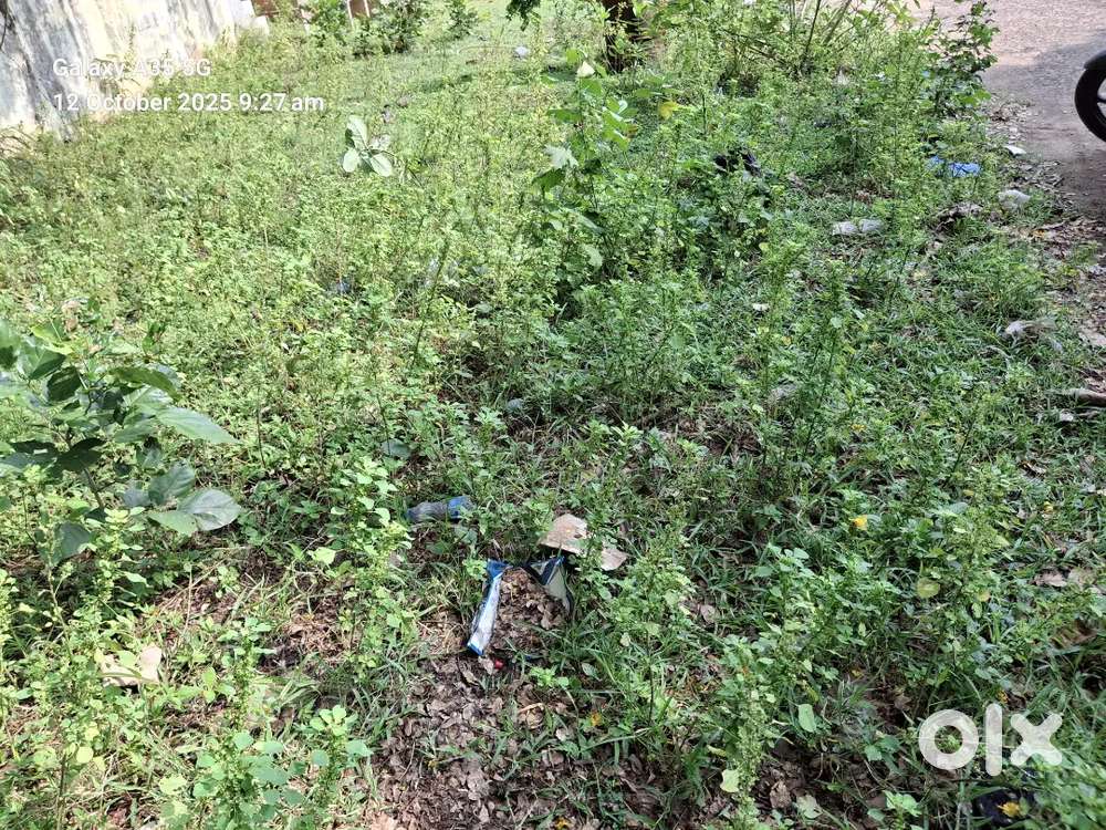 Open land for sale